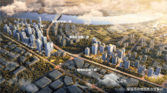 人道化设想适配多样家庭需求